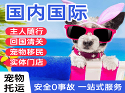 乌兰浩特义勒力特航空空运国际宠物托运 【国